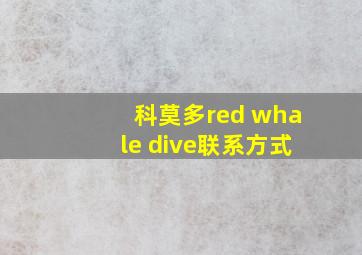 科莫多red whale dive联系方式